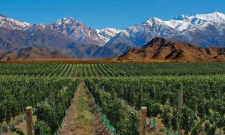 Vacaciones de Invierno: qué hacer en Mendoza entre viñedos y montaña Vacaciones de Invierno: qué hacer en Mendoza entre viñedos y montaña