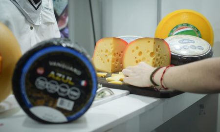 La cata de quesos es una tradición en la TodoLáctea y se realizan diferentes concursos. La cata de quesos es una tradición en la TodoLáctea y se realizan diferentes concursos.