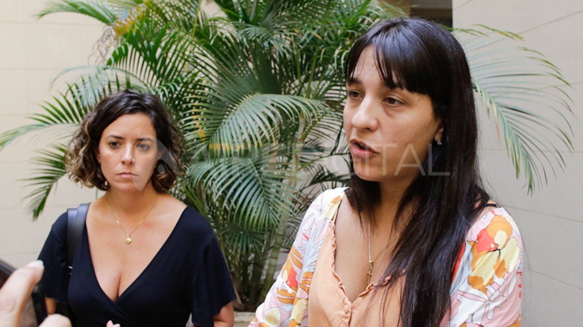 Celeste Minniti y Alejandra Del Río Ayala llevan adelante la investigación