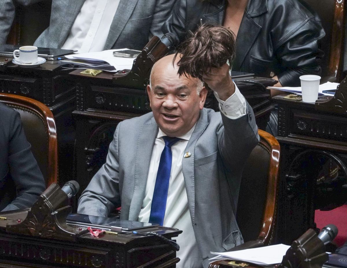 Leiva emitió su voto y se sacó la peluca luego de exclamar "mi voto es positivo". Leiva emitió su voto y se sacó la peluca luego de exclamar "mi voto es positivo". 