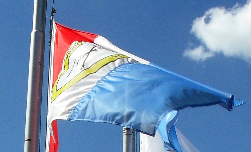 El impacto de la pandemia en la economía provincial.