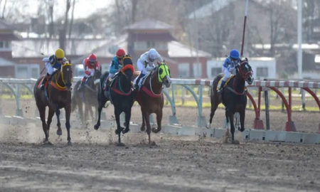 Un jockey está en grave estado tras caer y ser pisado por su caballo en el Hipódromo de La Plata Un jockey está en grave estado tras caer y ser pisado por su caballo en el Hipódromo de La Plata