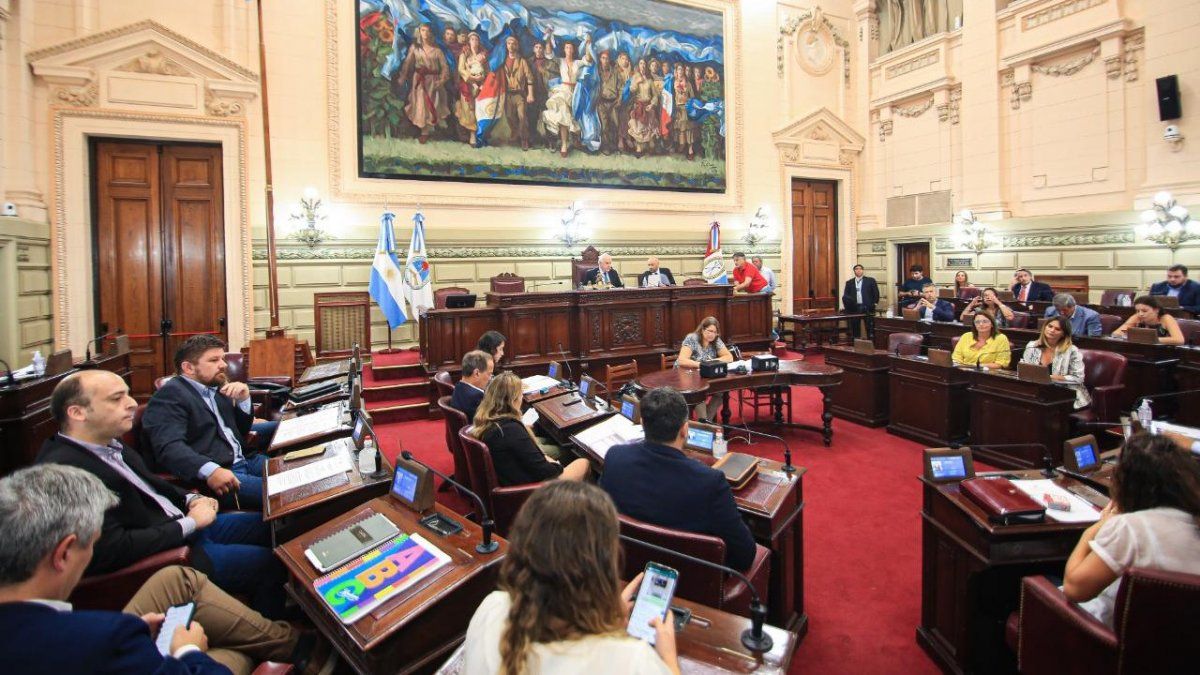 Necesidad Pública: cómo votaron los diputados el proyecto de ley