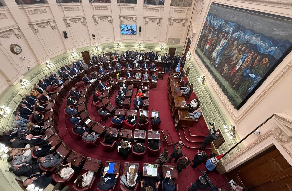 La primera sesión de la convención reformadora de la Constitución de la provincia de Santa Fe fue más que extensa.