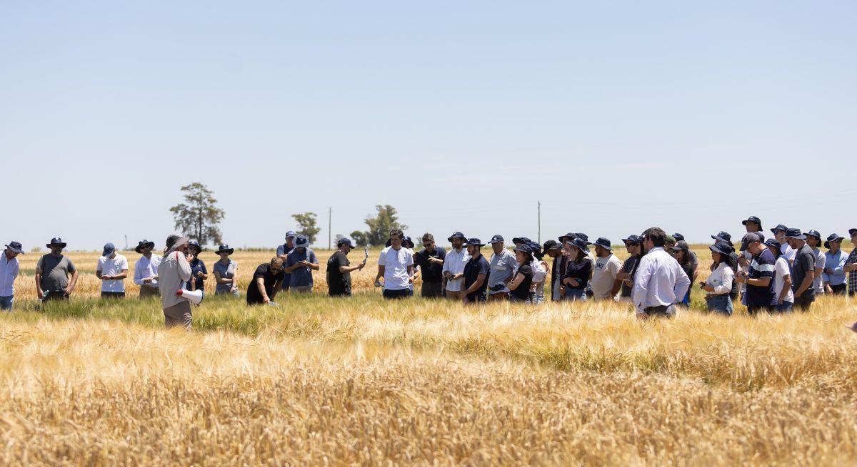 En la actualidad, el 38% de la malta utilizada por CCU cuenta con esta certificación, y la compañía proyecta alcanzar el 50% de materias primas certificadas hacia 2030. En la actualidad, el 38% de la malta utilizada por CCU cuenta con esta certificación, y la compañía proyecta alcanzar el 50% de materias primas certificadas hacia 2030.