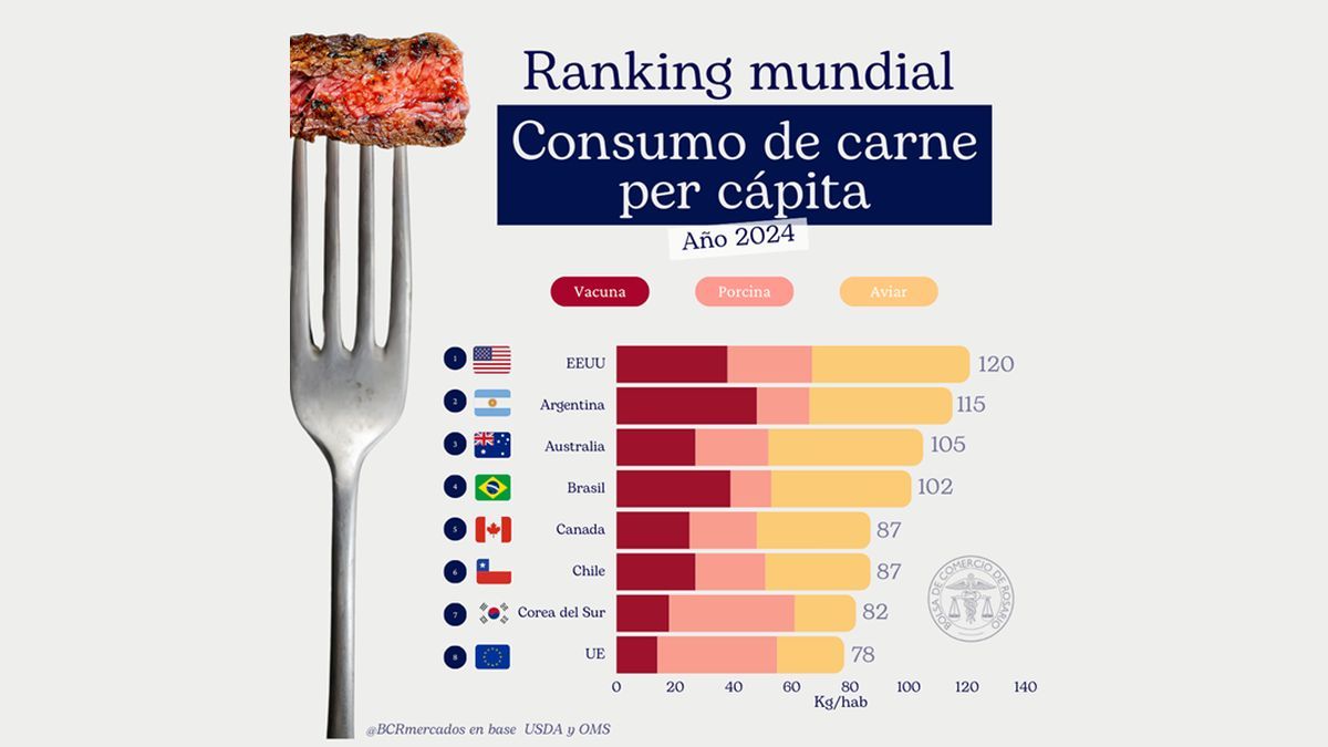 Argentina ocupa el segundo lugar en consumo total de carnes, con un crecimiento de la participación del pollo. Argentina ocupa el segundo lugar en consumo total de carnes, con un crecimiento de la participación del pollo.