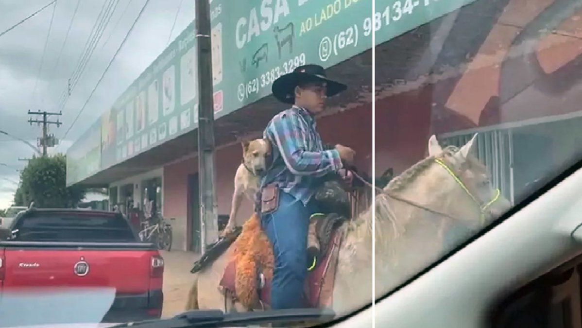 Un perro sorprende a los habitantes de una ciudad brasileña al pasear por las calles montando a caballo