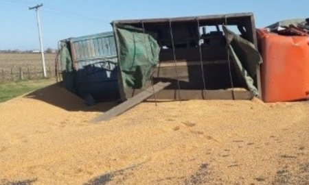 Como consecuencia del choque, uno de los vehículos que transportaba cereales derramó parte de su carga sobre el pavimento. Como consecuencia del choque, uno de los vehículos que transportaba cereales derramó parte de su carga sobre el pavimento.