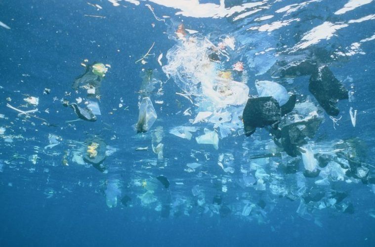 Envases plásticos “activos” y biodegradables, el foco de investigación de una científica argentina en España