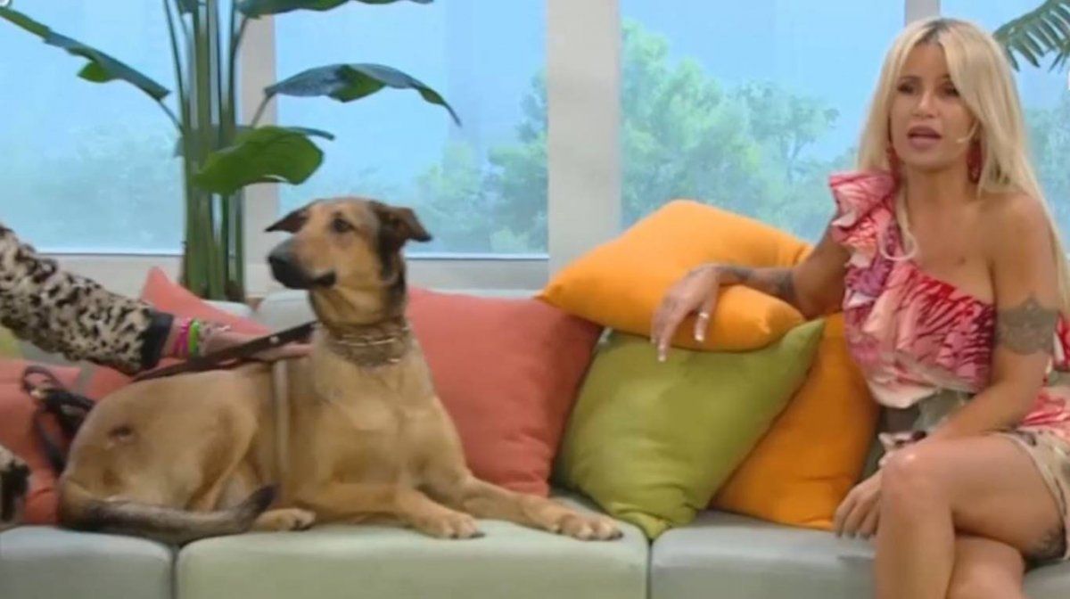 ¿La bisnieta de Fatiga es la próxima estrella de la TV?