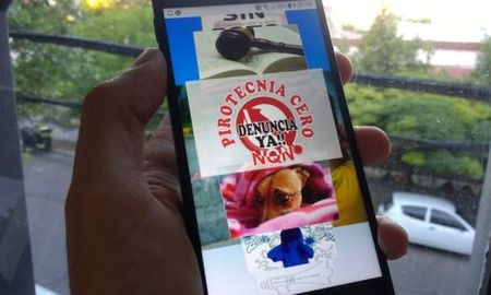 crearon una aplicacion de celular para denunciar el uso de pirotecnia crearon una aplicacion de celular para denunciar el uso de pirotecnia