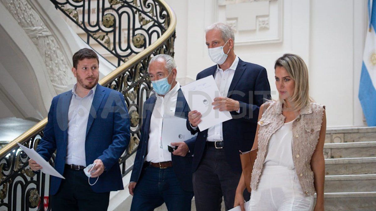 La oposición. Angelini