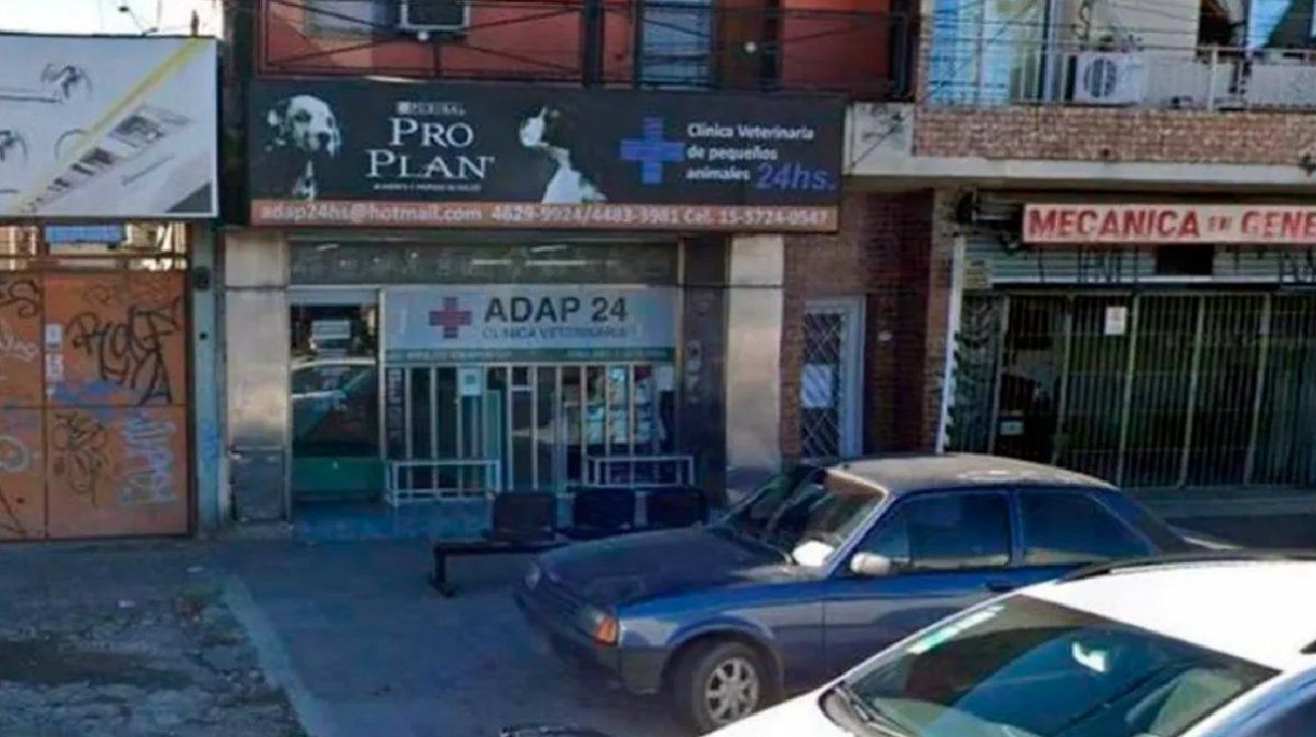 Una pareja atacó a golpes a un veterinario porque su caniche murió y el hombre se encuentra en grave estado