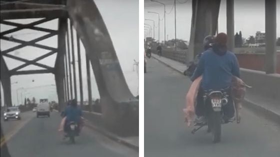 Locura, saqueo y riesgo sanitario: el día en el que las medias reses de cerdo llegaron hasta al Puente Carretero