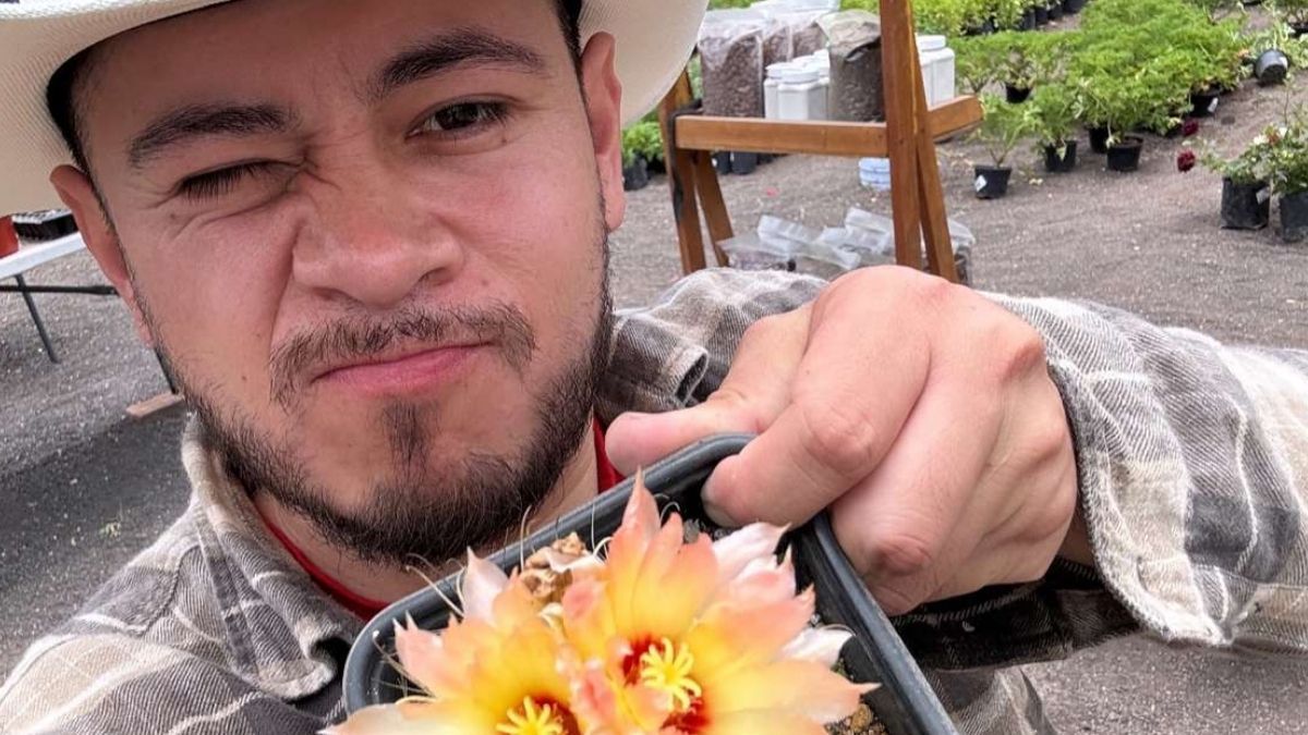 Jonathan Citadino, experto en jardinería: Si querés reproducir plantas, te recomiendo esta especie