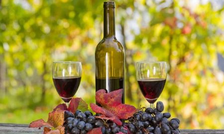 Entre Ríos llegó a ser la cuarta provincia productora de vino en Argentina hasta que en 1934 una ley nacional prohibió la actividad para favorecer a Cuyo. Entre Ríos llegó a ser la cuarta provincia productora de vino en Argentina hasta que en 1934 una ley nacional prohibió la actividad para favorecer a Cuyo.