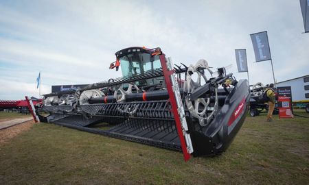 La firma MacDon exhibe en Agroactiva 2025 la hileradora M155 con cabezal D230. La firma MacDon exhibe en Agroactiva 2025 la hileradora M155 con cabezal D230.