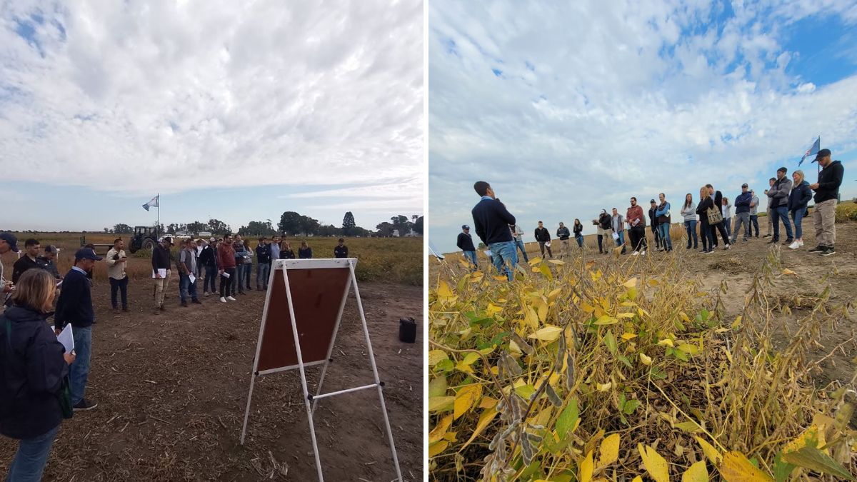 La actividad fue guiada por el ingeniero Sebastián Zuil, quien brindó recomendaciones clave para el manejo de la soja. La actividad fue guiada por el ingeniero Sebastián Zuil, quien brindó recomendaciones clave para el manejo de la soja.