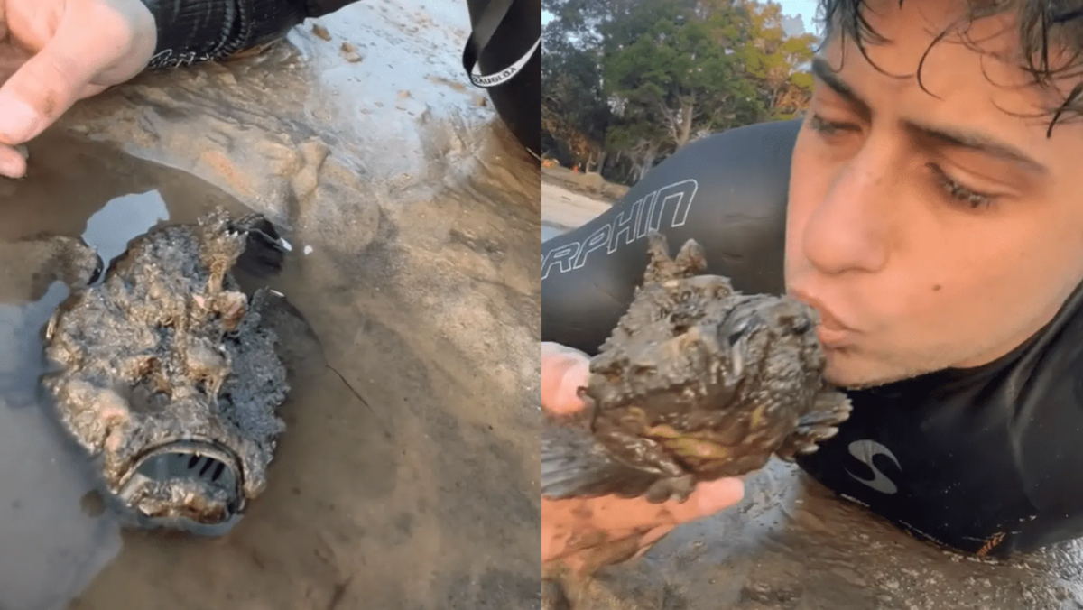 “Me gusta pensar que yo y el pez nos hicimos amigos”, bromeó el propio tiktoker.