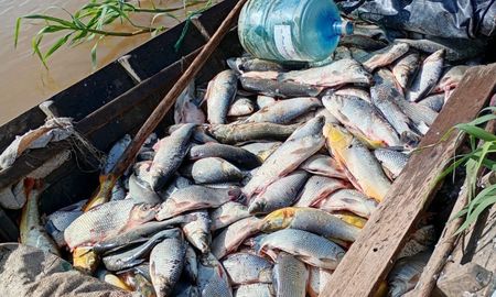Un informe de la Guardia Rural Los Pumas da cuenta de las intervenciones realizadas por casos de pesca ilegal en Santa Fe. Un informe de la Guardia Rural Los Pumas da cuenta de las intervenciones realizadas por casos de pesca ilegal en Santa Fe.