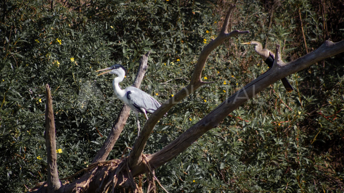 Parque Nacional Islas de Santa Fe