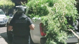 La Policía de Santa Fe desarticuló una organización criminal dedicada a la venta de drogas que operaba bajo la protección del jefe de la Seccional 5ª en el sur provincial.