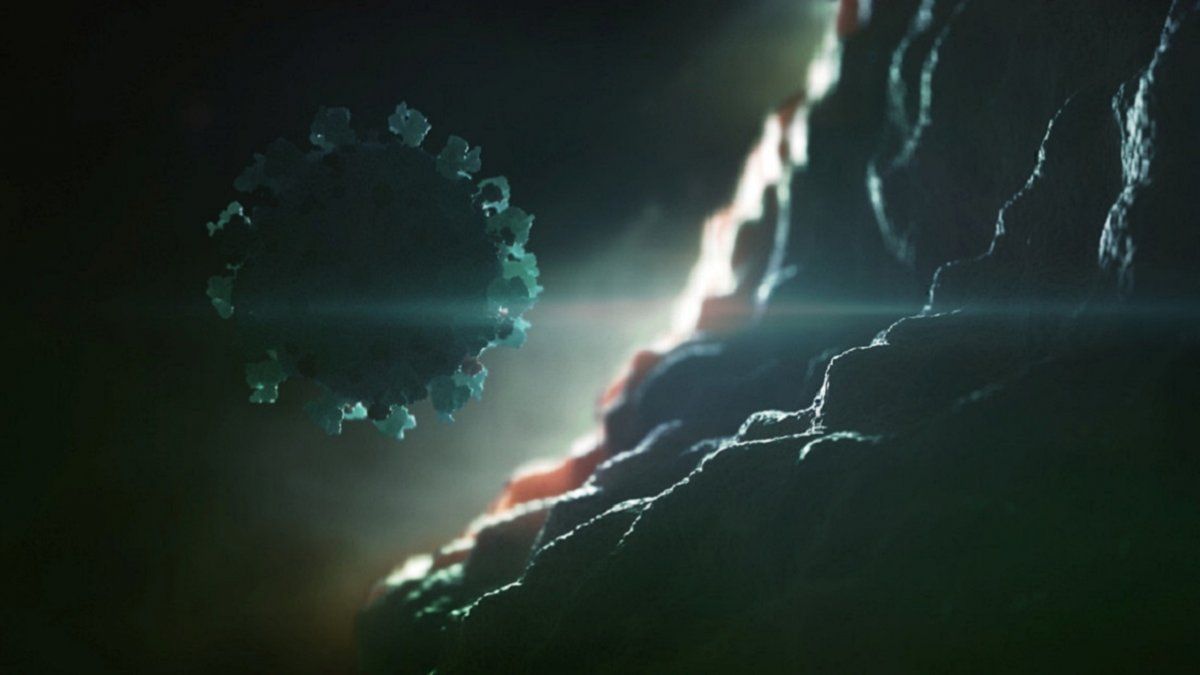 Cuándo tendremos la vacuna contra el nuevo coronavirus