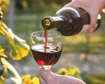 La Justicia determinó que las dos mujeres que se intoxicaron con vino en Arroyo Leyes bebieron de una botella que tenía soda cáustica. La Justicia determinó que las dos mujeres que se intoxicaron con vino en Arroyo Leyes bebieron de una botella que tenía soda cáustica.