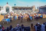 La Expo Rural de Palermo cerró sin anuncios, pero con cifras récord y fuerte movimiento de negocios