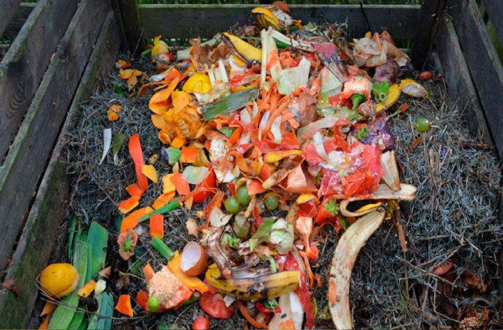 Cómo hacer compost en casa en 5 pasos