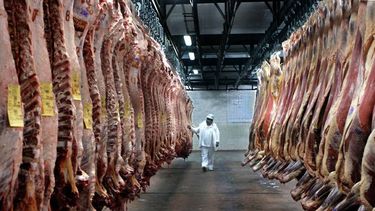 Los que están en problemas son los frigoríficos y sobre todo los exportadores. Los que están en problemas son los frigoríficos y sobre todo los exportadores.