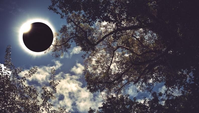 El Sol será bloqueado en 2019 por un polémico experimento de Harvard