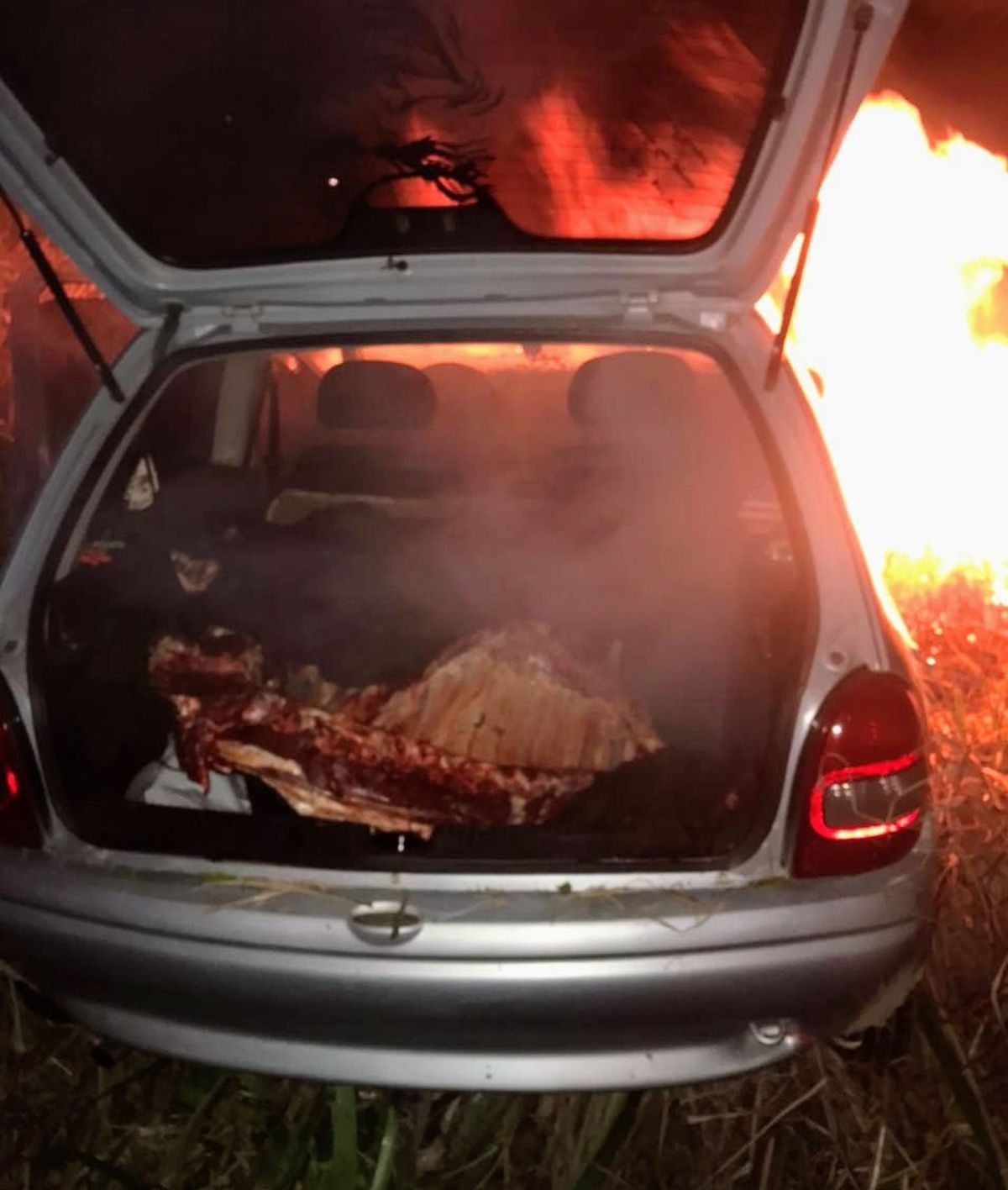 El conductor del auto escapó en la zona de montes, pero luego se presentó ante la policía.