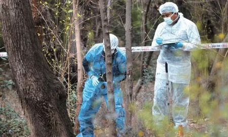 horror en mendoza: encontraron el cadaver de una mujer quemada y desmembrada entre matorrales horror en mendoza: encontraron el cadaver de una mujer quemada y desmembrada entre matorrales