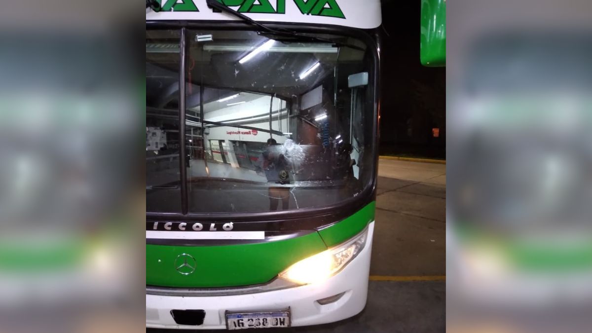 El chofer de un  colectivo de pasajeros esquivó un palo de tamaño considerable sobre el pavimento de la Ruta Provincial 1