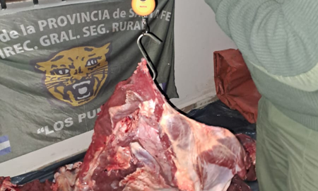 Los casos de abigeato se dieron en los departamentos 9 de Julio y San Javier. Los casos de abigeato se dieron en los departamentos 9 de Julio y San Javier.