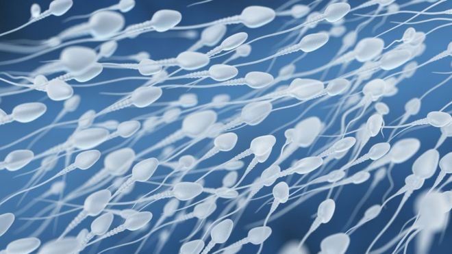 semen.jpg