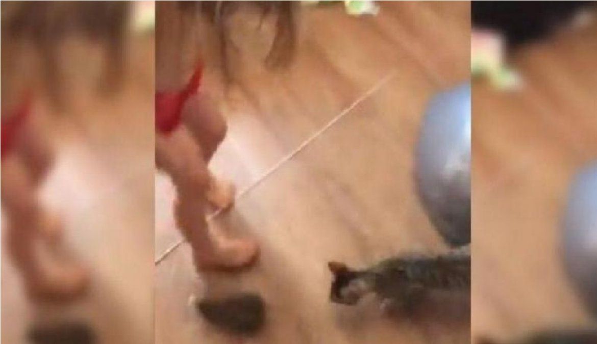 El tierno video de una nena y la horrorizada reacción de su mamá: Hay un conejito bebé