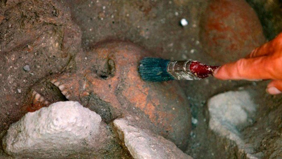 Foto: Así era la cara de una mujer que vivió hace 4250 años