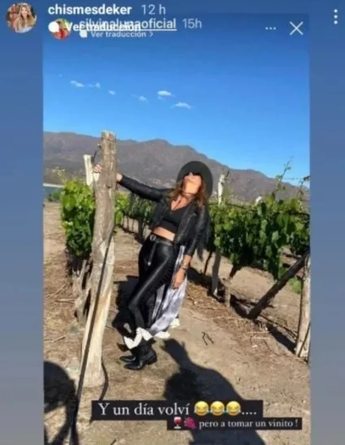 Silvina Luna volvi&oacute; al vi&ntilde;edo de su video sexual y subi&oacute; una foto.