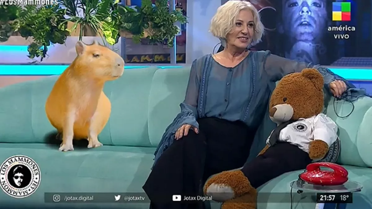 Mercedes Mor&aacute;n asegur&oacute; que tiene telepat&iacute;a con los animales.