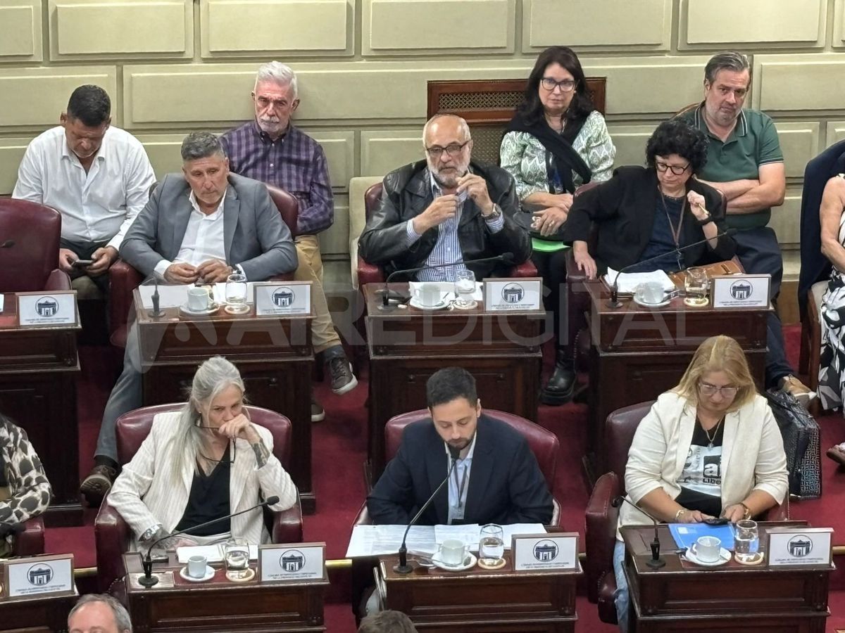 El bloque Somos Vida votará en forma dividida el proyecto de reforma constitucional. El bloque Somos Vida votará en forma dividida el proyecto de reforma constitucional.