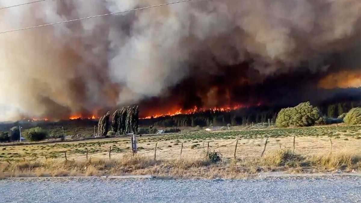 Las provincias de Río Negro y Chubut mantenían hoy focos de incendios forestales activos&nbsp;