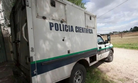 Horror en Mar del Plata: asesinaron a un hombre y una jauría devoró su cadáver Horror en Mar del Plata: asesinaron a un hombre y una jauría devoró su cadáver