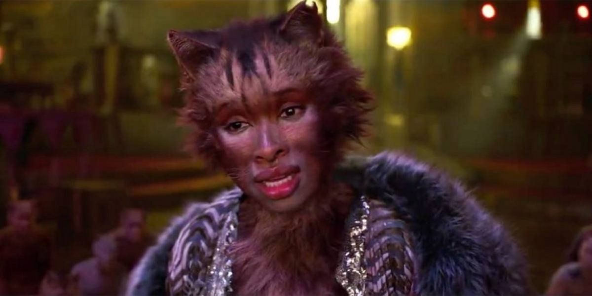 gatos.jpg
