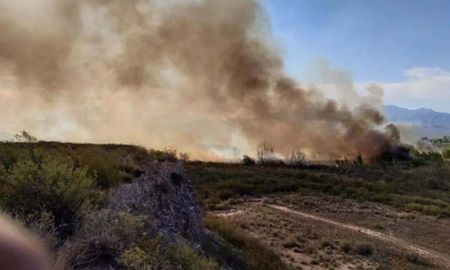 violaron la cuarentena, hicieron un asado y generaron un incendio violaron la cuarentena, hicieron un asado y generaron un incendio