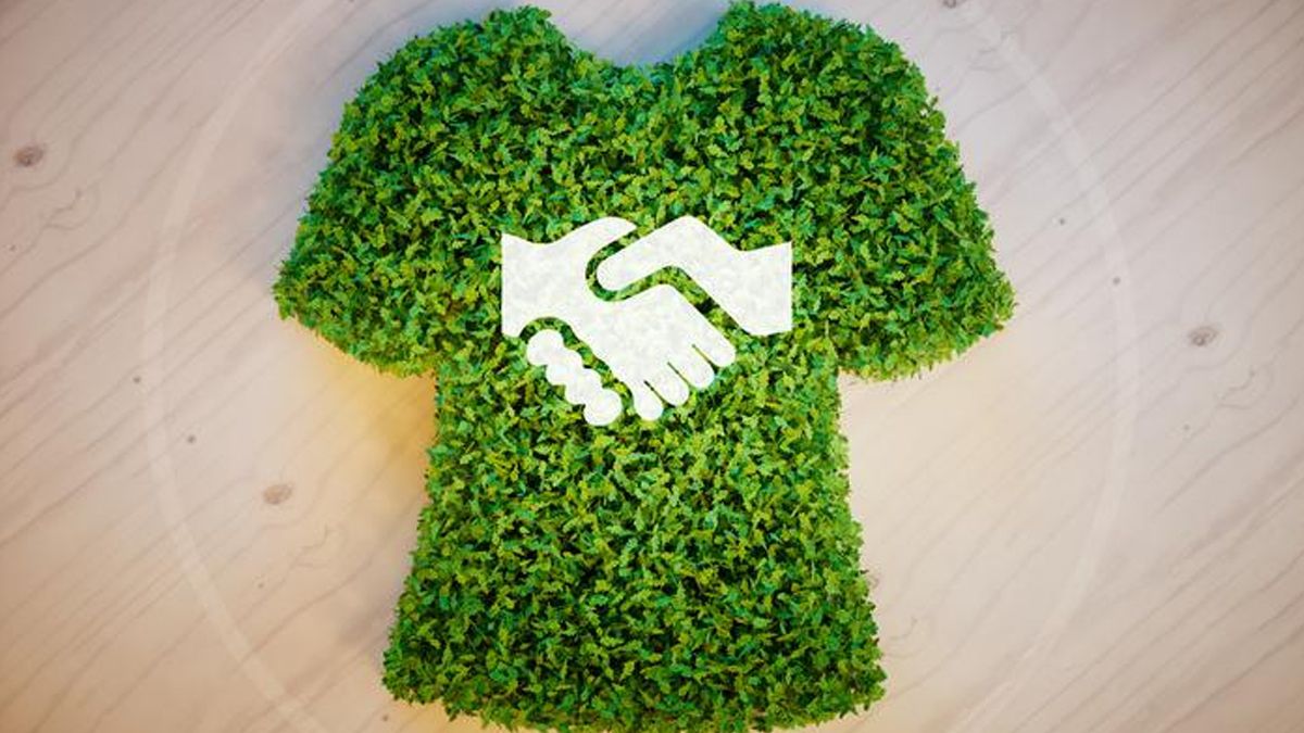 Según un informe de la ONU