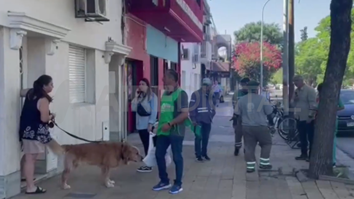 Desde principios de año se realizaron bloqueos en 67 barrios y se intervinieron 4.000 viviendas para prevenir la propagación del virus. Desde principios de año se realizaron bloqueos en 67 barrios y se intervinieron 4.000 viviendas para prevenir la propagación del virus.