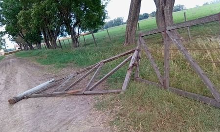 “De noche las luces se ven para todos lados”, dijo la víctima, pero eso no desalentó el accionar en absoluto disimulado de los malvivientes. “De noche las luces se ven para todos lados”, dijo la víctima, pero eso no desalentó el accionar en absoluto disimulado de los malvivientes.