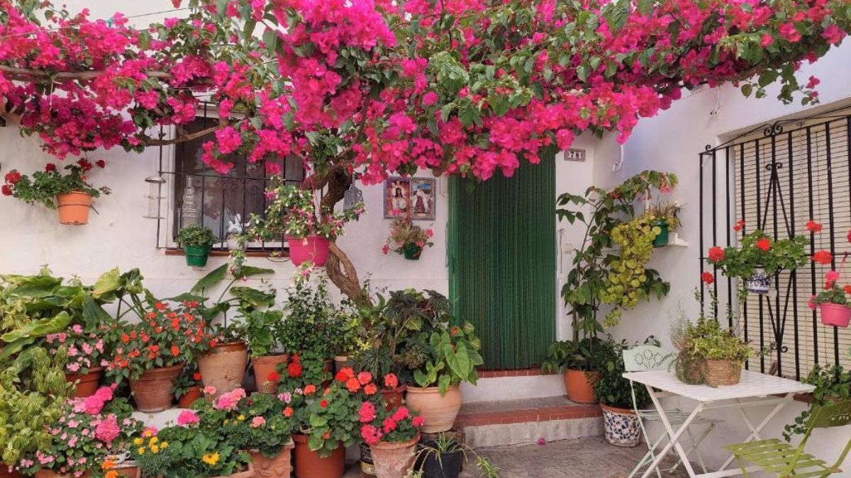 Prepará tu jardín para la primavera.